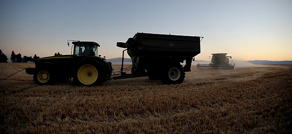 &lt;p&gt;Farmers were kicking up dust as they brought in their harvest of spring wheat on Thursday evening, August 30, in Creston.&lt;/p&gt;