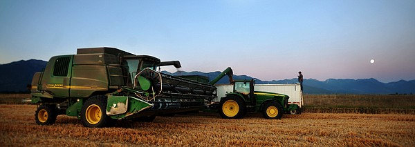 <p>A harvest of spring wheat is loaded into a semi for transport on Thursday evening, August 30, in Creston.</p>