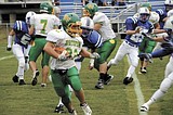Dogs lose opener; Roche out for year