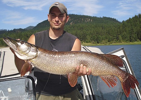 &lt;p&gt;Dan Ries, who works at Kootenai Medical Center, recently caught this 25-pound, 43-inch northern pike on the Pend Oreille River. It was caught with a white Booya spinner bait. He was fishing for bass.&lt;/p&gt;