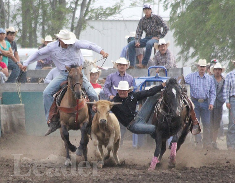 &lt;p&gt;Dakota Louis dismounts to wrestle a steer on Thursday.&lt;/p&gt;