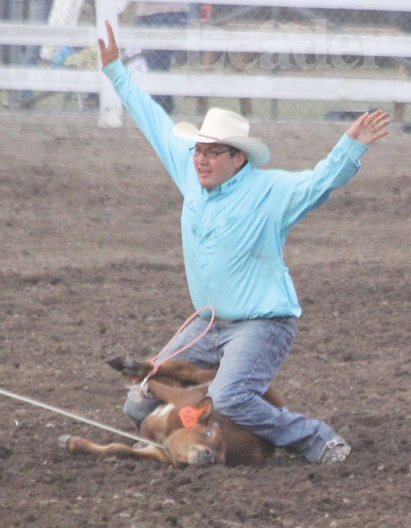 &lt;p&gt;Pete White of Ronan ties down a calf on Thursday.&lt;/p&gt;