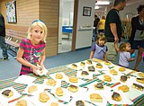 Kindergarten enrollment up in C-Falls