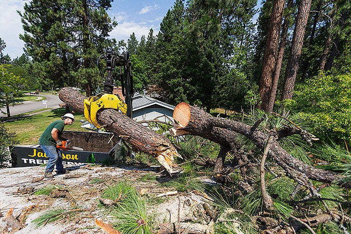 &lt;p&gt;SHAWN GUST/Press&lt;/p&gt;&lt;p&gt;Warren Amelsberg, with Jacobson Tree Service, works on cutting limbs off a tree trunk as crews work to remove debris from the roof of a home on Vista Drive Friday in Coeur d&#146;Alene. Shortly before 7:00 a.m. the homeowners and nearby golfers heard a couple of popping sounds before the tree top crashed onto the home.&lt;/p&gt;