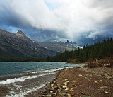 Park aims for quality wilderness experience