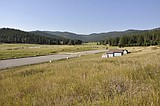 Foy's to Blacktail awarded $400,000