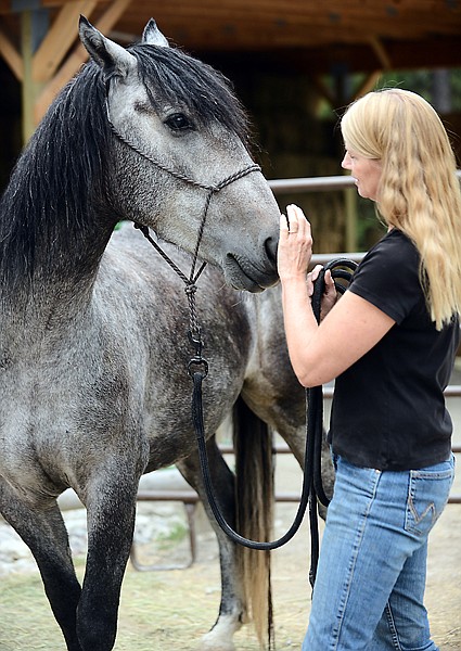 &lt;p&gt;Elisa Wilson works with Mr. Knightly, the wild mustang she is training to compete in the Mustang Million in a few weeks, on Tuesday, September 3, in Kila. (Brenda Ahearn/Daily Inter Lake)&lt;/p&gt;