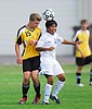Cats post soccer wins over Park, Belgrade