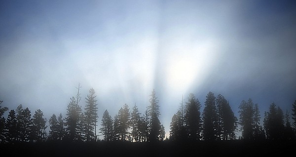 &lt;p&gt;The first rays of sunrise illuminate fog on a tree-lined
ridge.&lt;/p&gt;