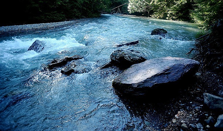 &lt;p&gt;View of Avalanche Creek on June 22, in Glacier National
Park.&lt;/p&gt;