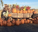 Seed Cupboard Nursery Fall Festival set for late September