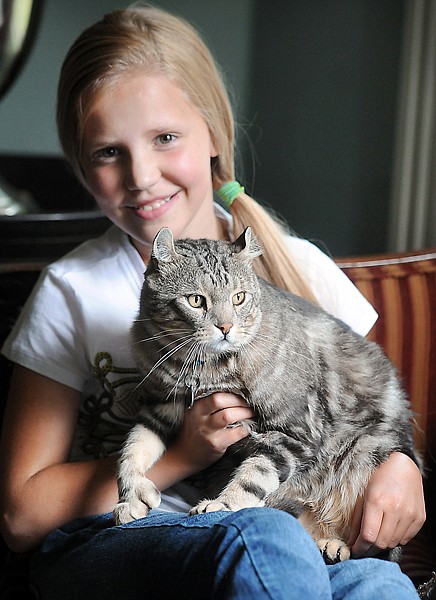 &lt;p&gt;Tommy Whiskers, a Highland Lynx cat, is safely back in the arms
of Adair Luikens, 11, Friday in Kalispell. The far-traveling cat
was recently found by park rangers up in Glacier National Park.&lt;/p&gt;