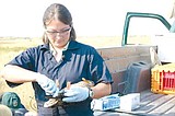 Department of Wildlife tests birds for avian flu