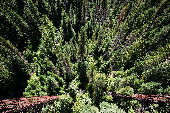 &lt;p&gt;Cyclists can experience a bird's eye view of the Idaho National Forest from the trestles of the Hiawatha bike trail.&lt;/p&gt;