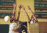No 'I' in Lady Bulldogs