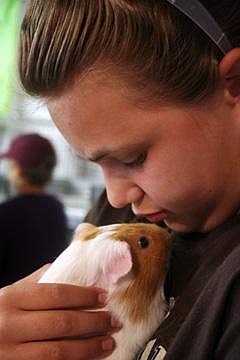 Award-winning guinea pig helps girl recover from brain surgery