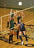 Lady 'Dogs fall to Polson
