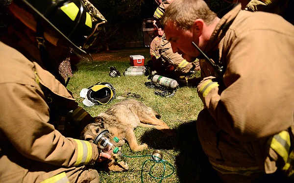 &lt;p&gt;Evergreen firefighters Jared Pitcher, right, and Wayne Evert give oxygen to a dog plucked from a burning home Tuesday night on Trumble Creek Road north of Kalispell.&lt;/p&gt;