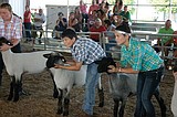 Adams County Fair opens Wednesday