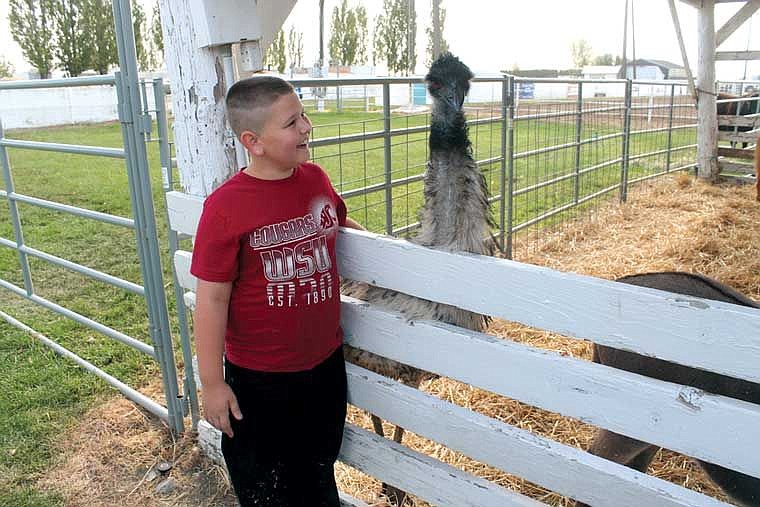 Andrew Greem of Moses Lake enjoys the petting zoo during the first day of the 2014 Adams County Fair Wednesday.