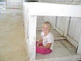 Adams County Fair seeking smiles