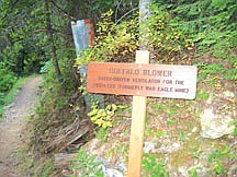 A remnant of an old mine along the Pulaski Trail. Pulaski originally tried to get his men to the War Eagle mine, but finding  the way blocked, settled for the Nicholson adit.