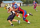 Vikings demolish Wardens