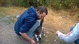 Finding a family of felines on Canfield Mountain