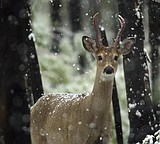 September snow
