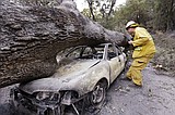 Wildfire evacuees return and find charred ruins