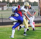 Cats v. Dillon