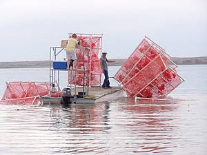 Levi Meseberg is depositing habitat boxes on the edge of the sand dunes on Potholes Reservoir in deep water.