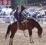 Rodeo kicks off tonight