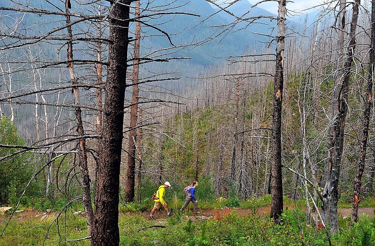 A pair of hikers begin their trek along the Loop Trail in Glacier Park in early August.