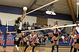 Tigers Volleyball