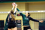 Volleyball roundup: Capital nips Wolfpack, Flathead edges Helena