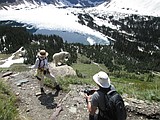 Six goats collared at Logan Pass