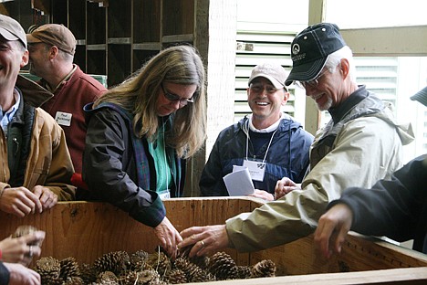 &lt;p&gt;From left, Ricia Lasso, Scott Smith and Steve Thomas inspect a box of pine cones at the Forest Service Nursery in Coeur d'Alene. The Miracle at Work Forest Tour stopped at the nursery on Friday.&lt;/p&gt;