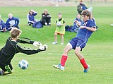 Tough week for Cats soccer