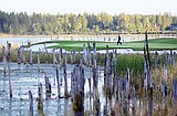Golf club a model of success
