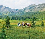 Wilderness artists to be presented