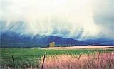 'Normal' winter predicted