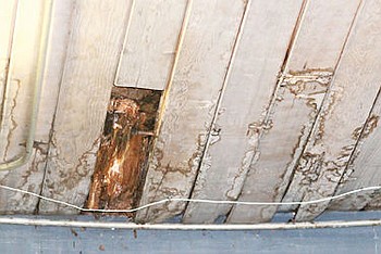 Lead