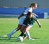 Kats squander lead against 'Dogs