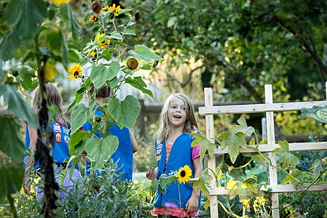 &lt;p&gt;GABE GREEN/Press Adrienne Pontious hangs back from the group of Daisy Scouts to look in awe at the numerous plants growing in the Shared Harvest community garden on Foster Avenue in Coeur d'Alene Wednesday evening. The girl scouts gathered at the garden to donate 25and a half pounds of produce which they helped to grow that will be distributed to soup kitchens and food banks throughout the community.&lt;/p&gt;