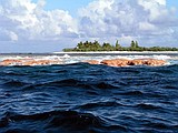 Obama seeks to expand ocean preserve