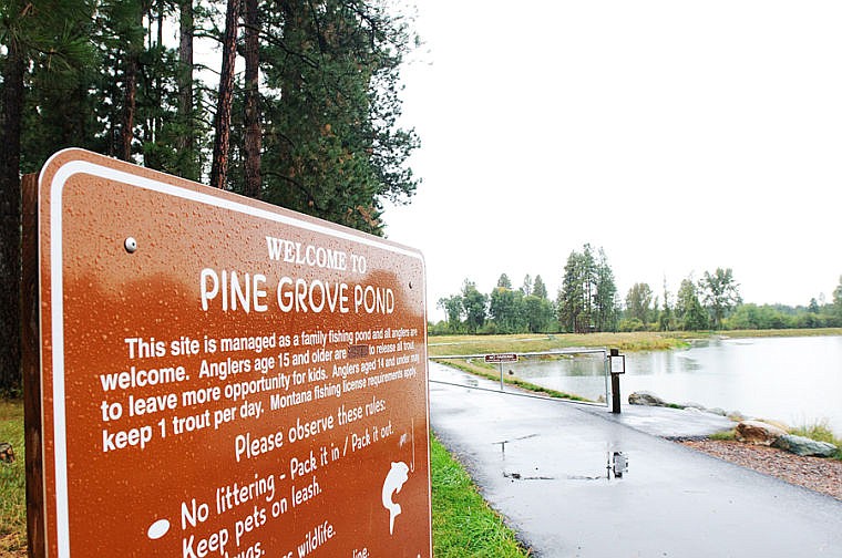 Invasive pike found at Kalispell family fishing site