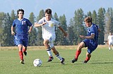 Dogs corner Cats in 6-0 win at home