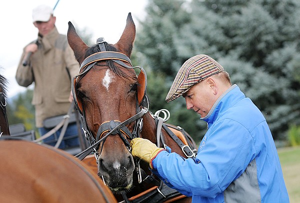 Piotr Mazurek adjusts the bridle of one of the team as he and the grooms Arkadiusz Szpojda, left, and Nicola Jesiak, not shown, practice on Thursday in Whitefish.