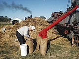 Wheat threshing reminds participants of olden days